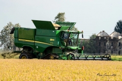 SI-ENTRA-IN-CAMPO_big_image (2)
