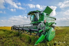 SI-ENTRA-IN-CAMPO_big_image